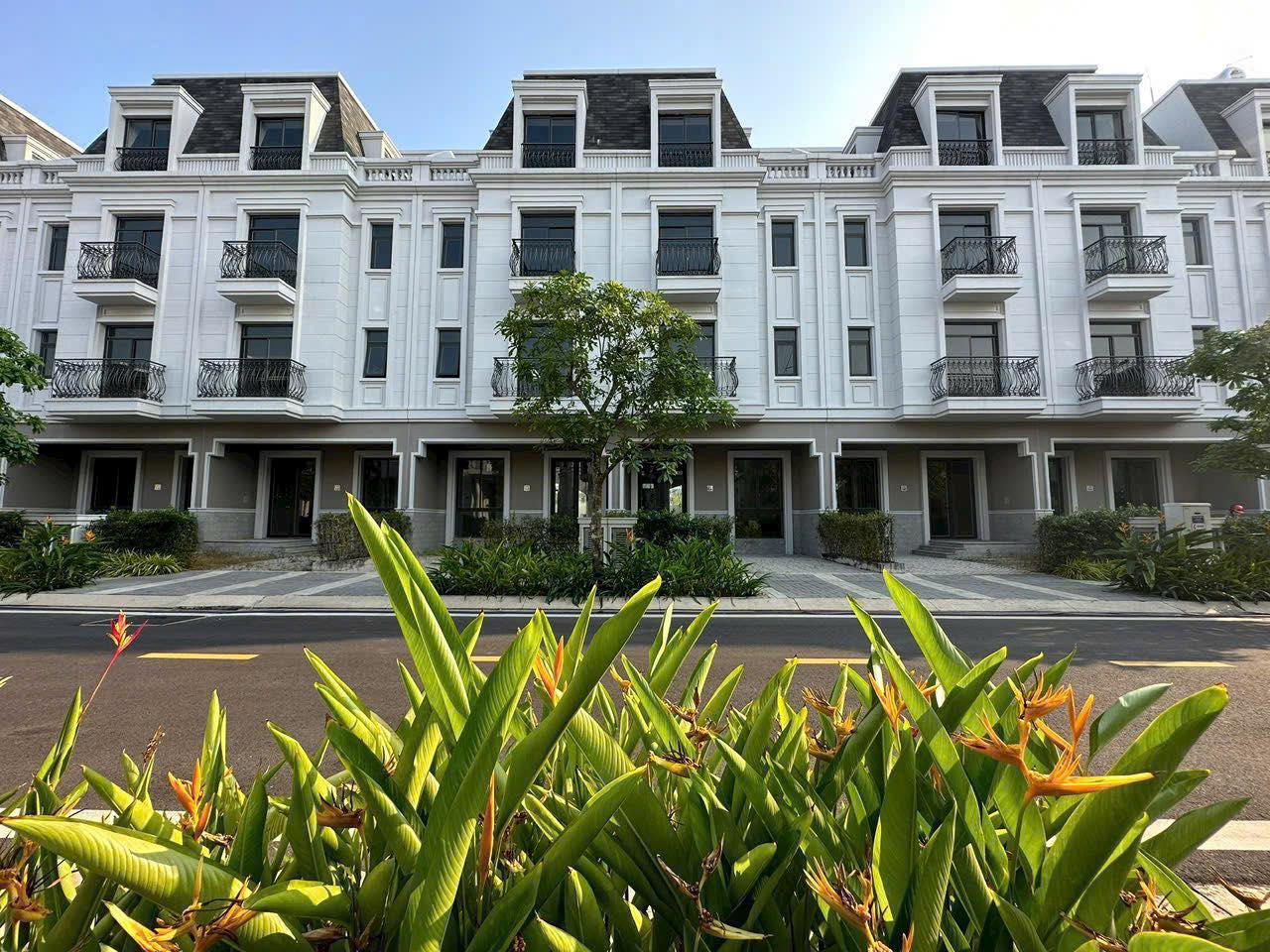  Nhà Phố Amelie Phú Mỹ Hưng 6x20